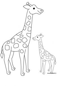 Coloriage A Imprimer Girafe Girafe Coloriage