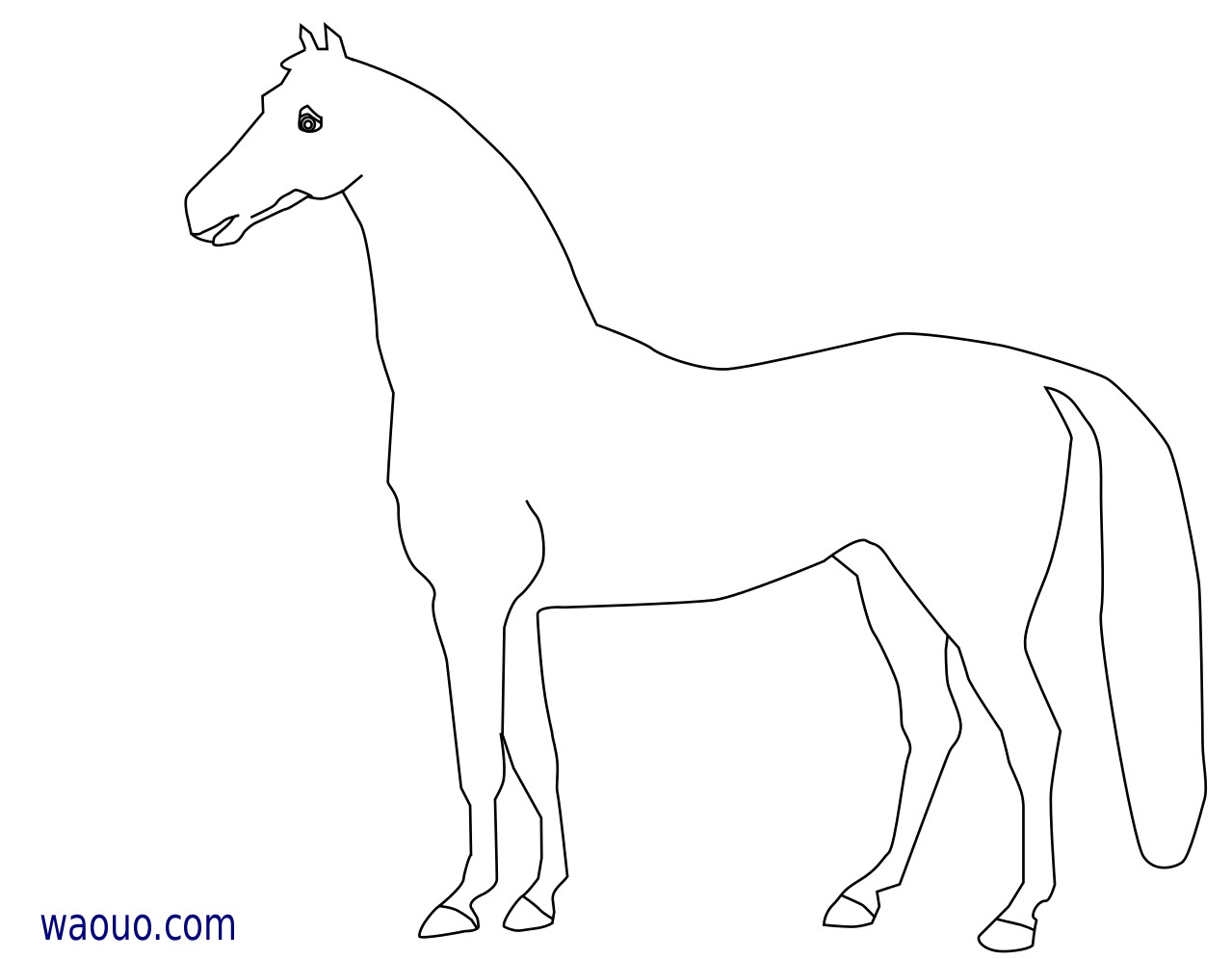 Coloriage à Imprimer Gratuit Cheval Coloriage Cheval à Imprimer Gratuit