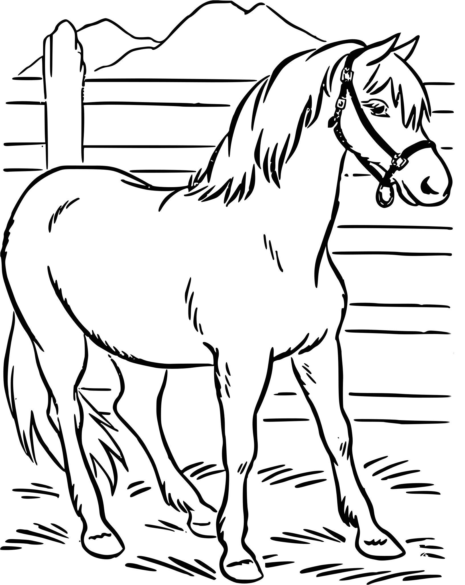 Coloriage à Imprimer Gratuit Cheval Coloriage Cheval à Imprimer