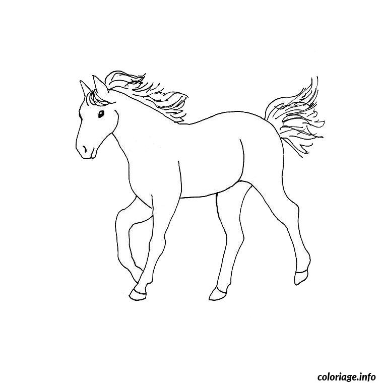 Coloriage à Imprimer Gratuit Cheval Coloriage Cheval Dessin