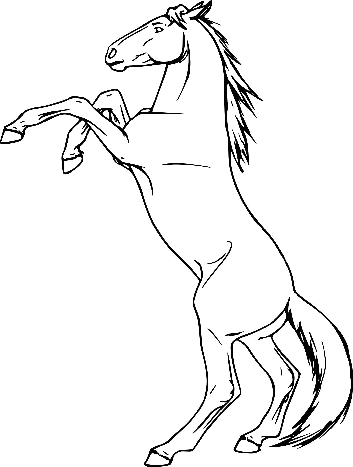 Coloriage à Imprimer Gratuit Cheval Coloriage Cheval Qui Se Cabre