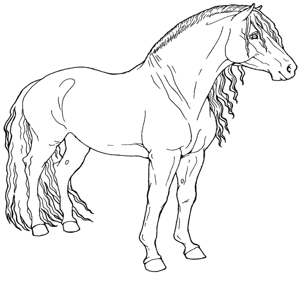 Coloriage à Imprimer Gratuit Cheval Coloriage Imprimer Gratuit Cheval Coloriage Chevaux Et