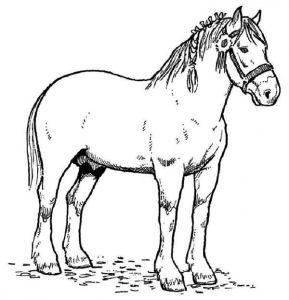 Coloriage à Imprimer Gratuit Cheval Horse Race Champion In Horses Coloring Page Netart