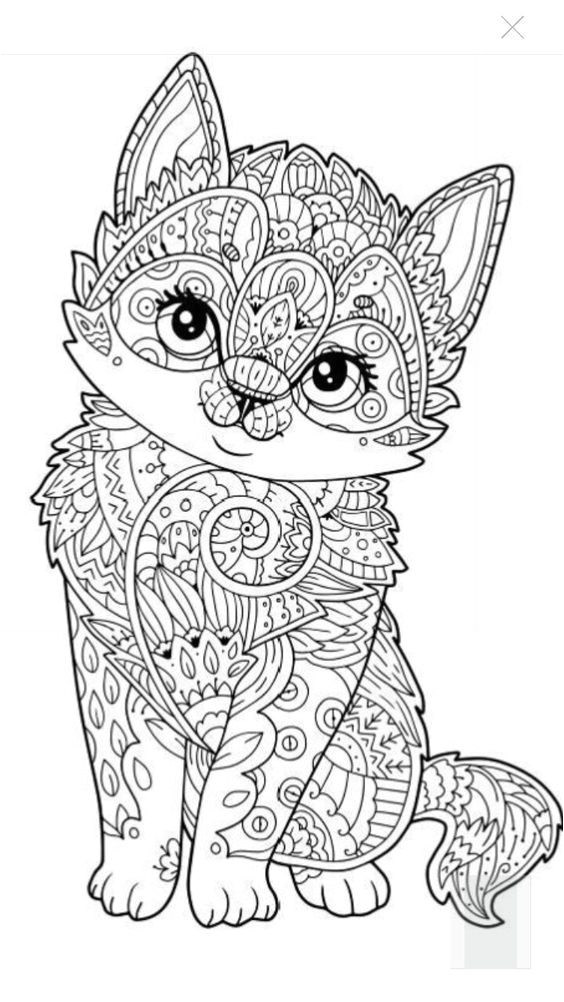 Coloriage A Imprimer Gratuit De Chat Animaux