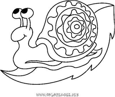 Coloriage A Imprimer Gratuit Hugo L Escargot 20 Dessins De Coloriage Dauphin Hugo L Escargot à Imprimer
