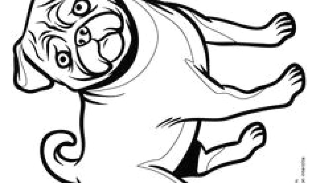 Coloriage A Imprimer Gratuit Hugo L Escargot Hugo L Escargot Coloriage Gratuit A Imprimer Animaux Les