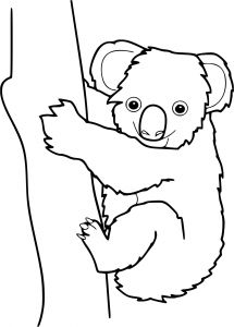 Coloriage A Imprimer Koala Coloriage Koala à Imprimer