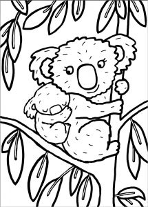 Coloriage A Imprimer Koala Dessin De Coloriage Koala à Imprimer Cp