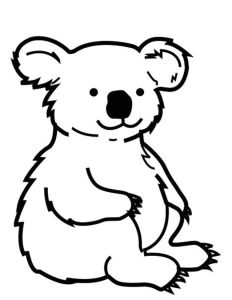 Coloriage A Imprimer Koala Pin by Karen Renn On Koala S