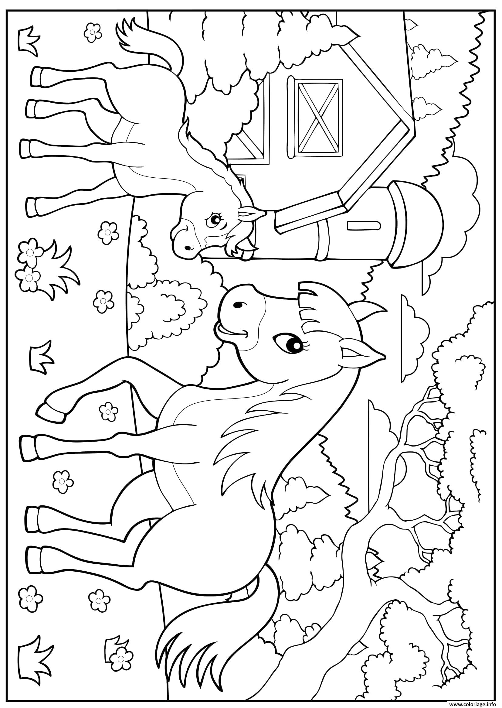 Coloriage A Imprimer La Ferme Coloriage La Ferme Cheval Poney Enfant Maternelle