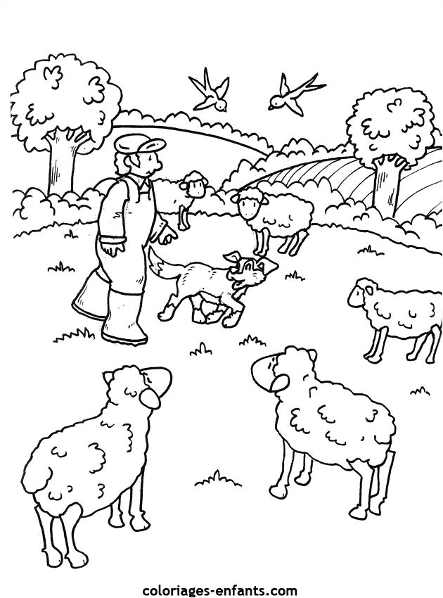 Coloriage A Imprimer La Ferme Coloriage Les Moutons De Ferme Dessin Gratuit à Imprimer