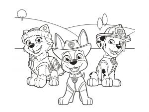 Coloriage A Imprimer Pat Patrouille Coloriage Pat Patrouille 30 Dessins à Imprimer