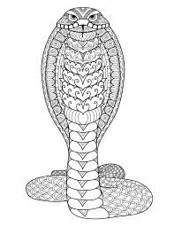 Coloriage à Imprimer Serpent 19 Meilleures Images Du Tableau Mandala Animaux