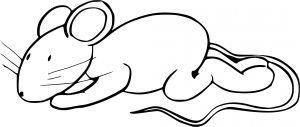 Coloriage à Imprimer souris Coloriage souris à Imprimer