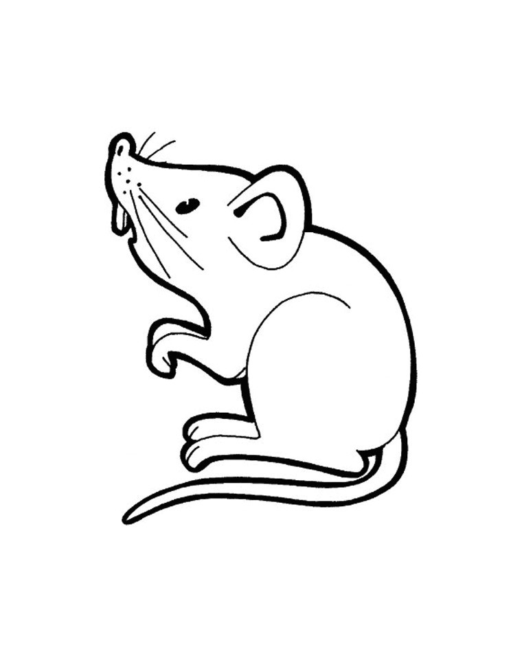Coloriage à Imprimer souris souris 4 Coloriage De souris Coloriages Pour Enfants