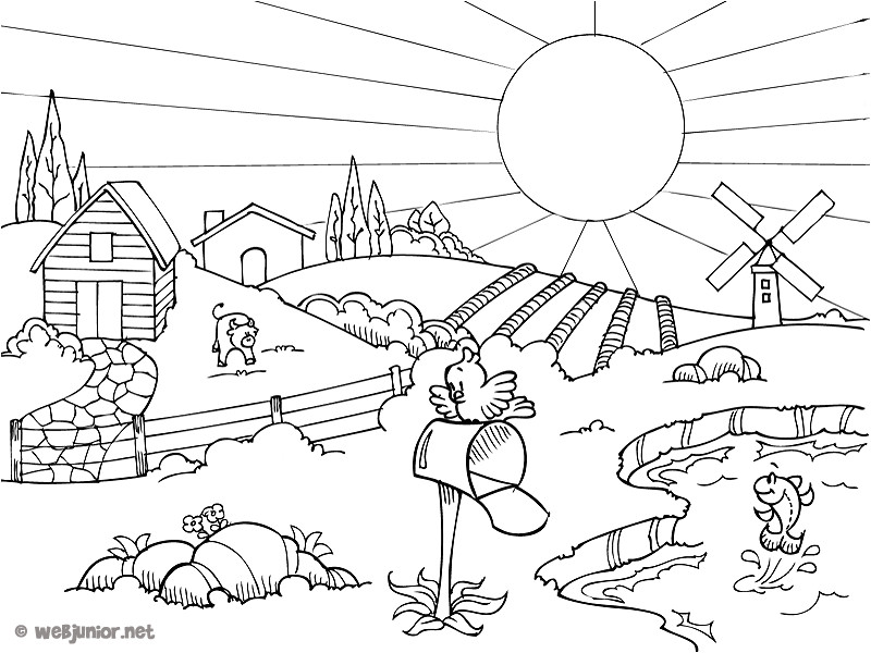 Coloriage A Imprimer Titi Et Grosminet Dessins Gratuits   Colorier Coloriage Campagne   Imprimer