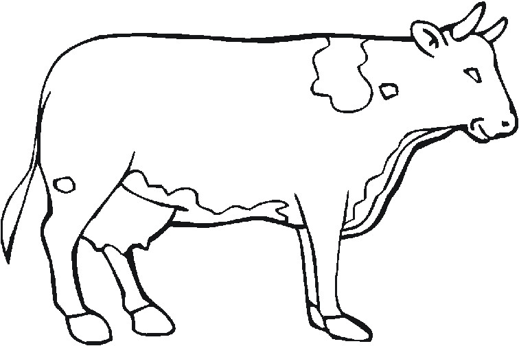 Coloriage A Imprimer Vache Dessin De Vache A Imprimer Gratuit Coloriage A Imprimer Vache Dessin De Vache A Imprimer Gratuit