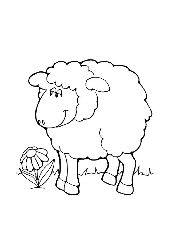 Coloriage à La Ferme Coloriages Animaux De La Ferme