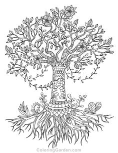 Coloriage Adulte Arbre De Vie 7 Meilleures Images Du Tableau Coloriage Arbre