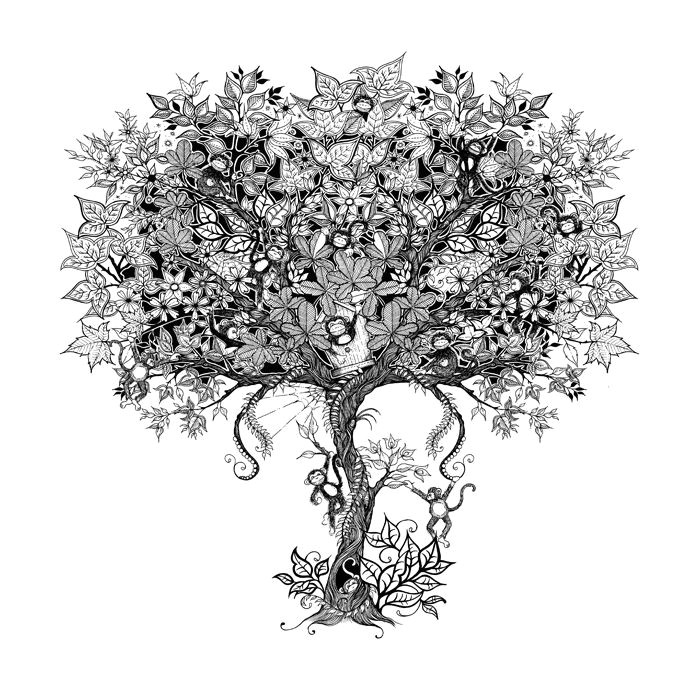 Coloriage Adulte Arbre De Vie Johanna Basford Graphic Design From Her Book &quot;secret Garden