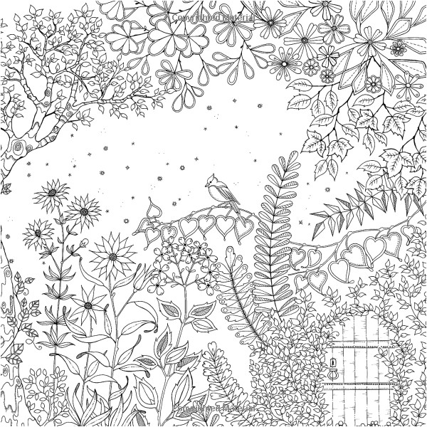 Coloriage Adulte Paysage A Imprimer Secret Garden Johanna Basford Des Motifs Superbes Qui