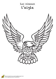 Coloriage Aigle A Imprimer Gratuit 110 Meilleures Images Du Tableau Coloriages D Oiseaux