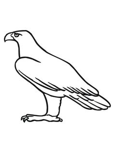 Coloriage Aigle A Imprimer Gratuit Les 12 Meilleures Images De Aigle Archerie