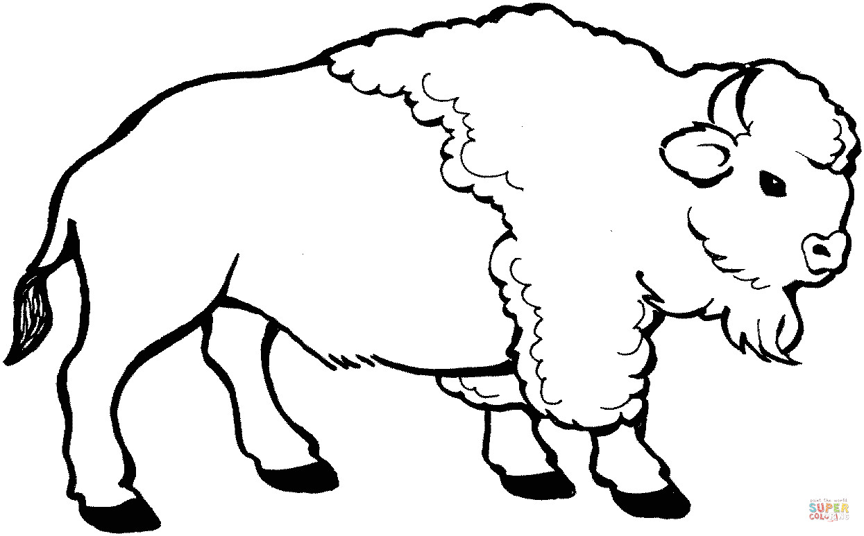 Coloriage Amerique A Imprimer Coloriage Bison A Imprimer 6