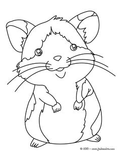 Coloriage Animaux De Compagnie 49 Meilleures Images Du Tableau Coloriages Animaux