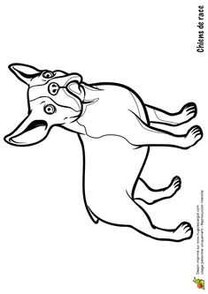 Coloriage Animaux De Compagnie Les 191 Meilleures Images De Coloriages Animaux De Pagnie