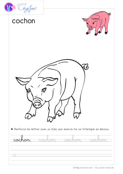 Coloriage Animaux De Compagnie Pdf Dessin   Colorier Animaux De La Ferme   Imprimer Les