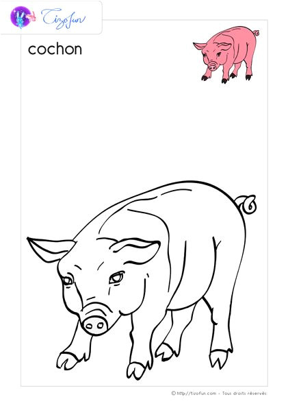 Coloriage Animaux De Ferme Pin On Coloriage   Imprimer Et Activité Manuelle Découverte