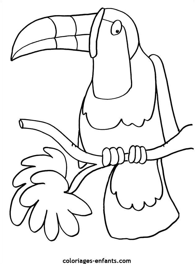 Coloriage Animaux Du Printemps Coloriage De Perroquet Sur Coloriages Enfants