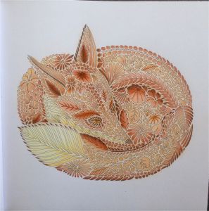 Coloriage Animaux Fantastiques Marabout Livre "animaux Fantastiques" Marabout