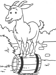 Coloriage Animaux Pour Petit Coloriage De Divers Animaux Sur Coloriages Enfants