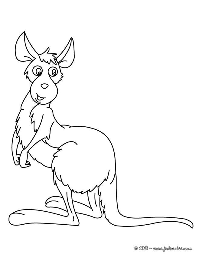 Coloriage Animaux Trop Mignon Gratuit Coloriage D Un Kangourou De Face  Imprimer Gratuitement Ou