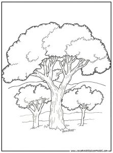 Coloriage Arbre De Vie A Imprimer Arbres 7 Coloriage à Colorier Les Coloriages Et Dessin à