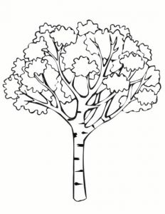 Coloriage Arbre De Vie A Imprimer Coloriage Arbre A Imprimer