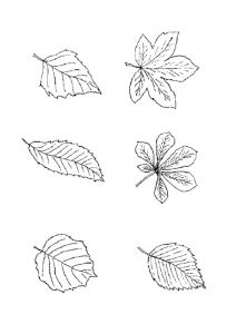 Coloriage Arbre De Vie A Imprimer Coloriage Feuille D Automne Imprimer Pour Les Enfants