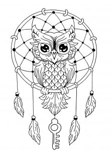 Coloriage attrape Reve A Imprimer attrape Reve Hibou Coloriage De Hiboux Coloriages Pour