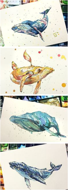 Coloriage Baleine à Bosse Les 149 Meilleures Images De Baleines