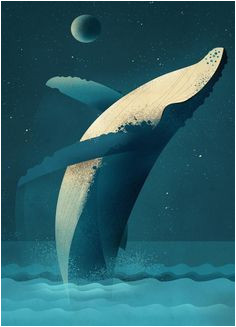 Coloriage Baleine à Bosse Les 15 Meilleures Images De Baleine Dessin