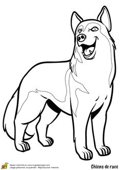 Coloriage Berger Allemand Imprimer Les 191 Meilleures Images De Coloriages Animaux De Pagnie