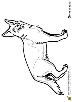 Coloriage Berger Allemand Imprimer Les 191 Meilleures Images De Coloriages Animaux De Pagnie