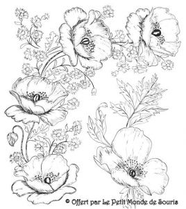 Coloriage Bouquet De Fleurs Gratuit Modeles Gratuits Coquelicots