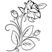 Coloriage Bouquet De Roses Dessin   Colorier Bouquet De Fleurs Nature 5