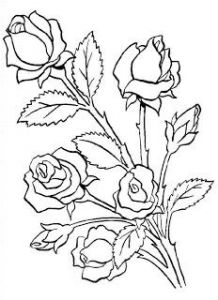 Coloriage Bouquet De Roses Les 36 Meilleures Images De Fleurs