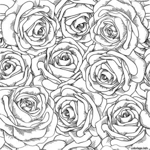 Coloriage Bouquet De Roses Pin by the Eclectic Lady On Eclectic Color Me