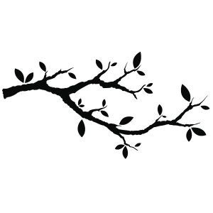 Coloriage Branche D Arbre Dessin D Arbre A Imprimer Gallery Avec Et Dessin Branche D