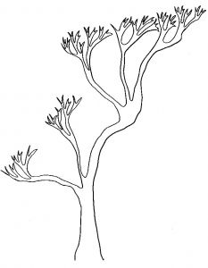 Coloriage Branche D Arbre Dessin D Arbre A Imprimer Gallery Avec Et Dessin Branche D